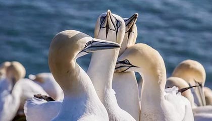 开云中国大陆-国足力挽狂澜，晋级国际比赛半决赛，国足 2022