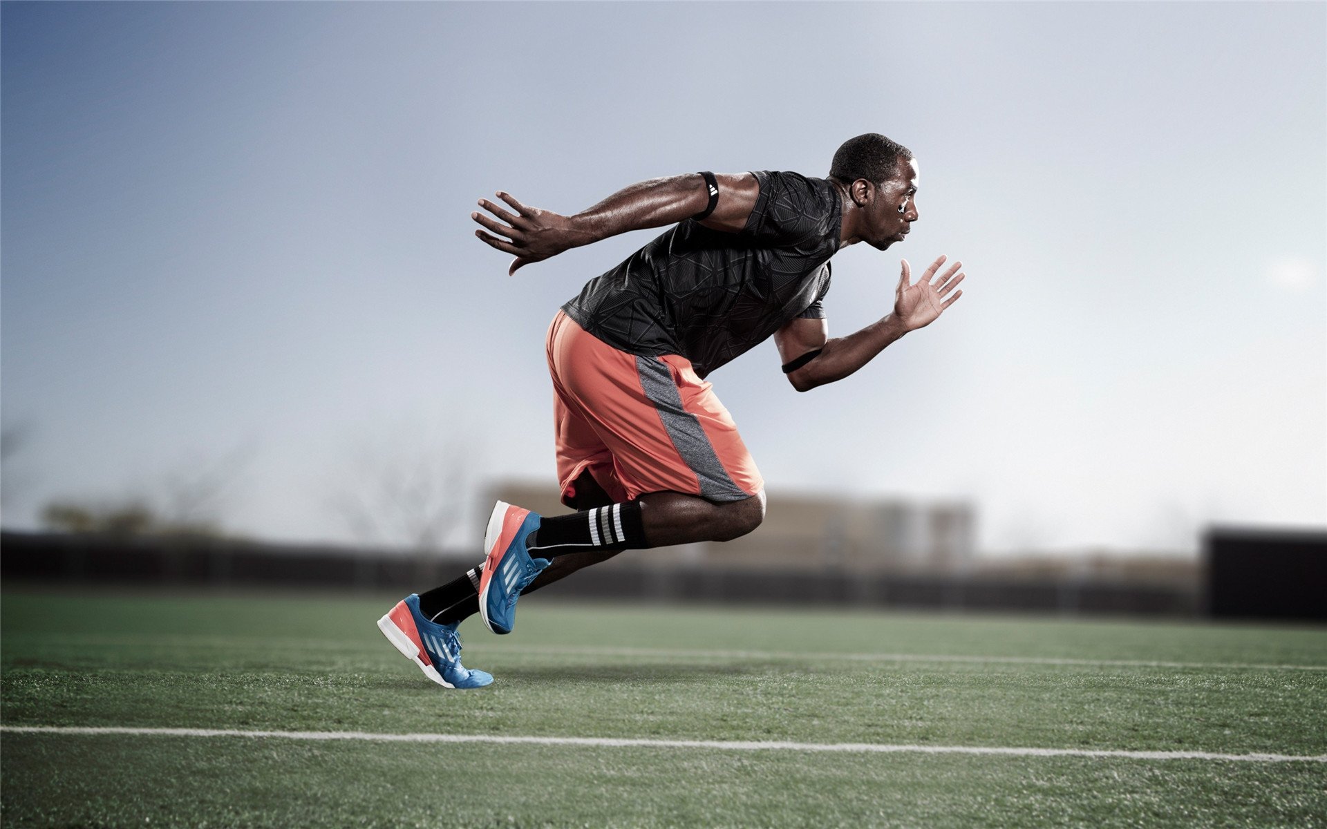 体育法律知识普及月活动走进基层社区，体育法宣传标语